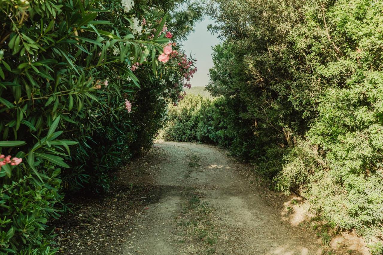 Il Casale Villa Teulada Dış mekan fotoğraf